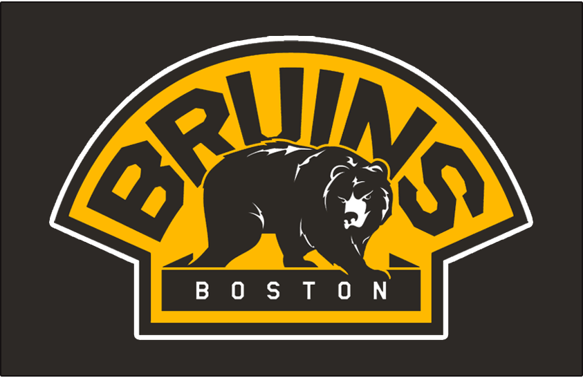 Boston Bruins 2008-2016 Jersey Logo iron on transfers for clothing